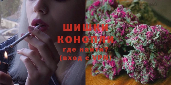 mdpv Вяземский