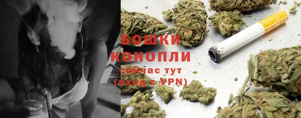 mdpv Вяземский